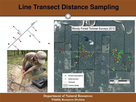 Image result for Ecological Sampling Using a Line Transect