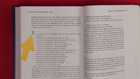 Write Animation 的图像结果