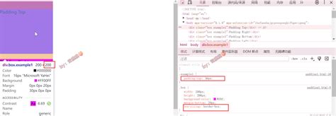 C# Padding 的图像结果