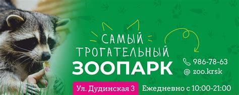 Зоопарк Страна Енотия | Красноярск | Что вы знаете о животных? 2024 ...