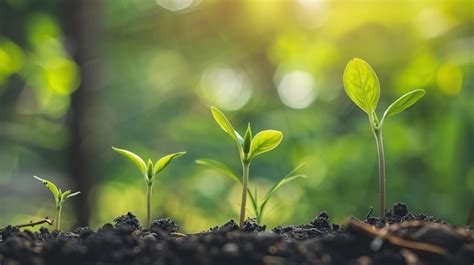 Image result for Plant 3D Python Script
