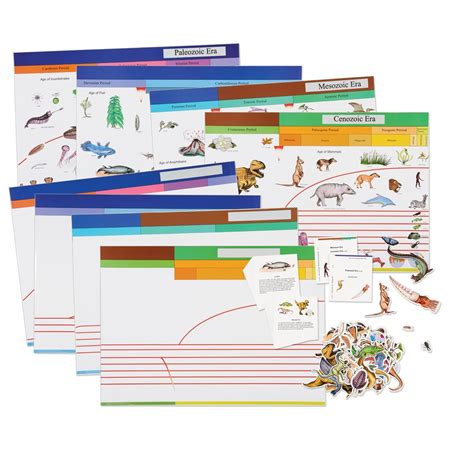 Montessori Timeline Of Life Printable - Free Printable Worksheets for Fun & Learning