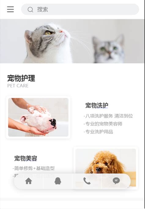 宠物护理活动寄养领养萌宠特色服务网站 | 服务平台