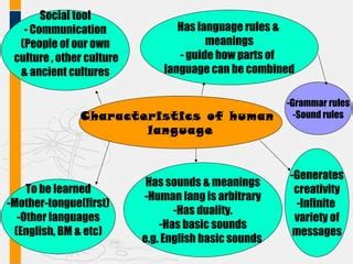 Types of Language Human 的图像结果