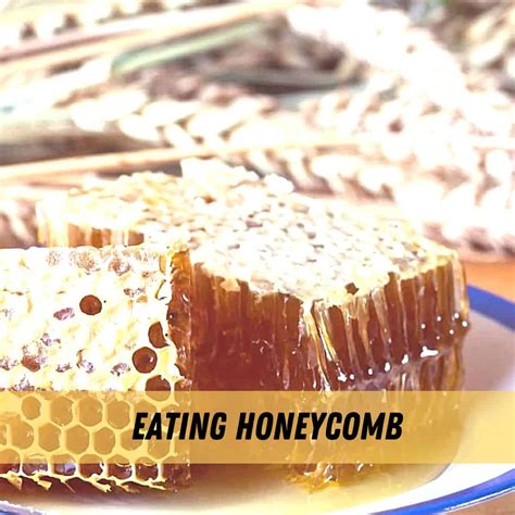 Eating Beeswax - Is it Safe? - Carolina Honeybees