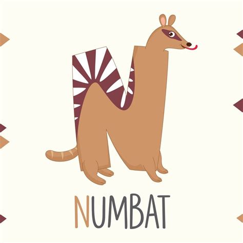 N numbat Vectors - Download Free High-Quality Vectors from Freepik ...