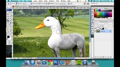Image result for 2 Animals Photoshop Tutorial