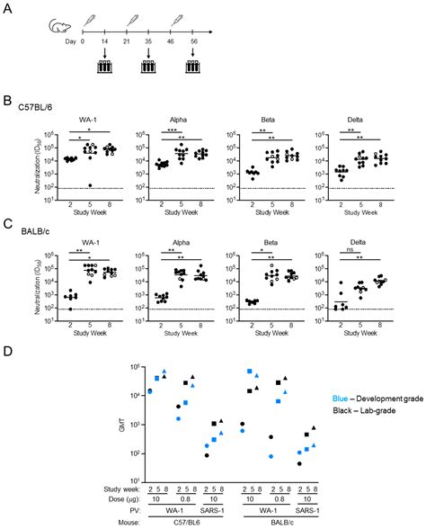 Production of Clinical-Grade SARS-CoV-2 Spike Ferritin Nanoparticle ...
