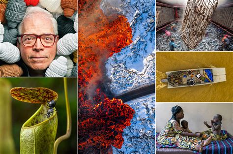 Image result for Science Org