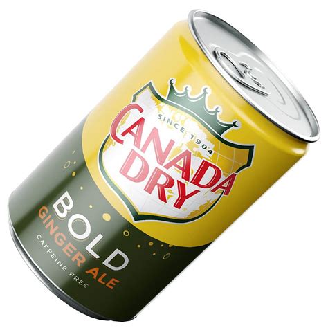 Canada Dry Bold Ginger Ale Can 163ml Slim - 3D Model by murtazaboyraz
