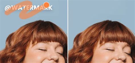 Object Remover and Video Watermark Remover: A Practical Guide for ...