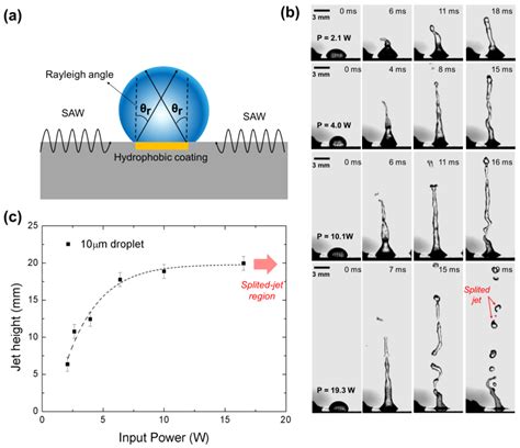 Heat Transfer Characteristics of a Focused Surface Acoustic Wave (F-SAW ...