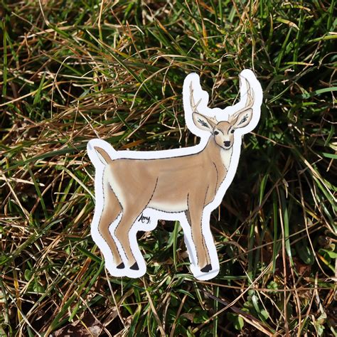 White-Tailed Deer Sticker — Sisters’ Sunflowers