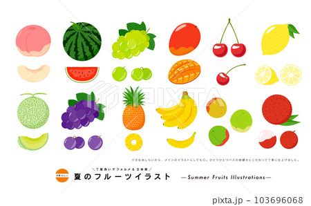Image result for Vizz Studio Programing Language Visual Basic