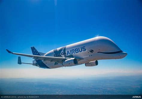Flying whale: Airbus BelugaXL takes flight | Airbus, Cargo aircraft ...