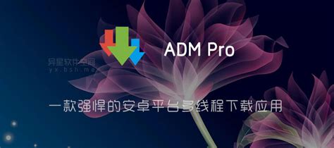 ADM Pro v14.0.29 for Android 直装付费高级版 + 魔改版 —— 一款强悍的安卓平台多线程下载应用 | 异星软件空间