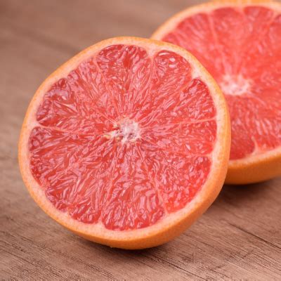 Red Ruby Grapefruit How to Grow Perth 的图像结果