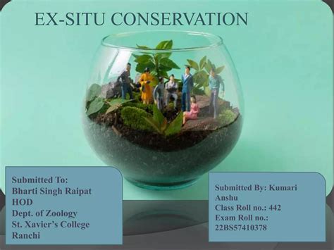 Presentation on Ex-Situ Conservation.pptx
