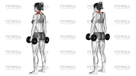 Dumbbell Shrug: Exercise Guide, Video, Techniques, Benefits, How to ...
