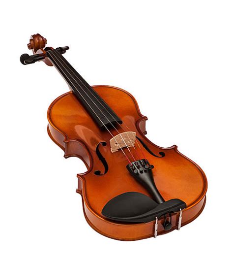 Image result for Violin Note Names