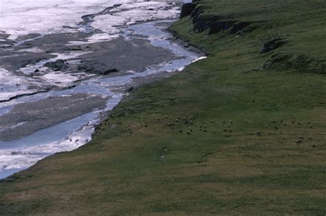 Free picture: Arctic, coastal, plains