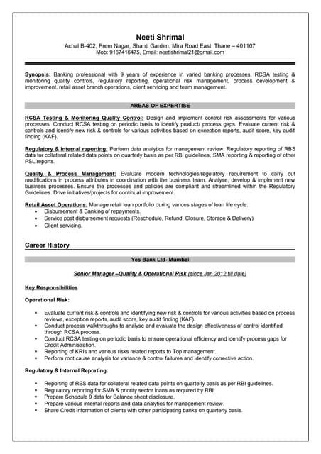 Image result for Neetcode Resume