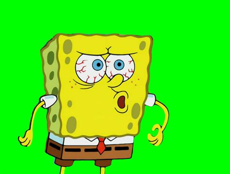 Image result for Spongebob Get Out