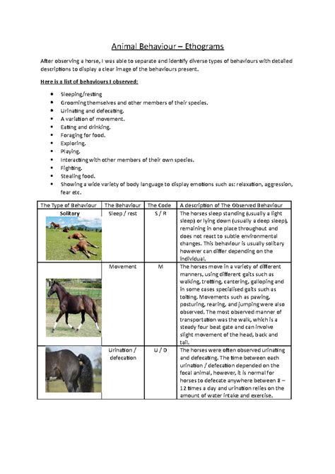 Image result for Ethogram Example Animal Behavior