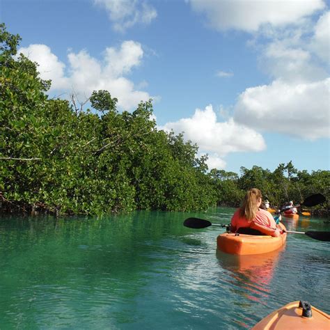 MANGROVE (2026) All You Need to Know BEFORE You Go (with Photos ...
