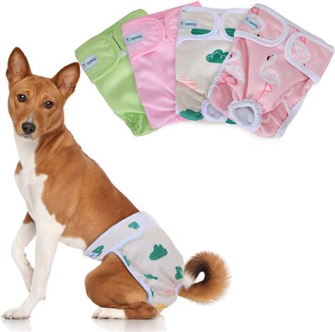 Dog Diapers Female Incontinence at Leon Aldridge blog