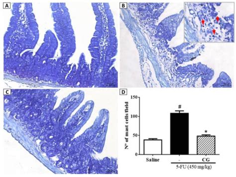 Protective Effect of Cashew Gum (Anacardium occidentale L.) on 5 ...