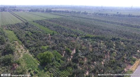 庄稼 的图像结果