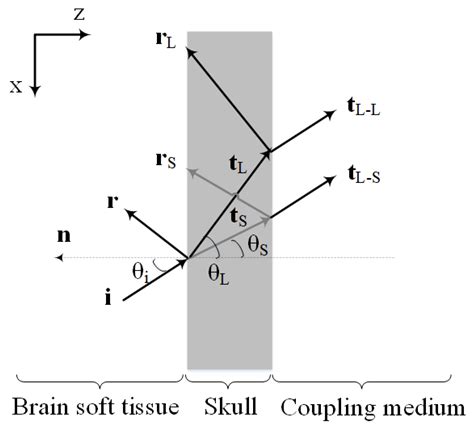 Skull’s Photoacoustic Attenuation and Dispersion Modeling with ...
