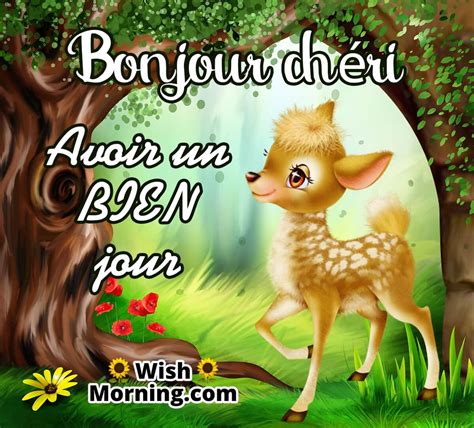 Good Morning French Quotes 450+ Good Morning Messages, Wishes,