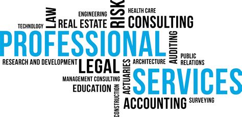 What Are Professional Services In It at Aileen Markham blog