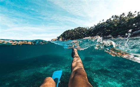 Scuba Diving 的图像结果