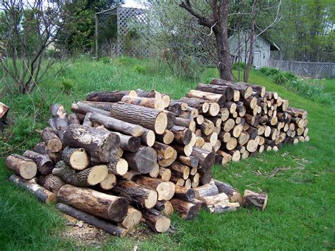 Restful Trails Food Forest Garden: photo progress of woodpile after 1 ...