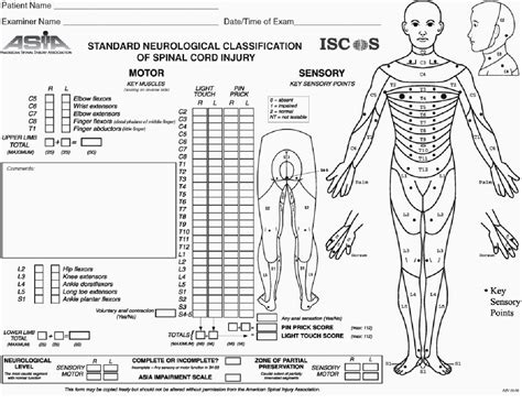 Figure 1 from CLINICAL - NEUROLOGICAL/ FUNCTIONAL - ASSESSMENT IN POST ...