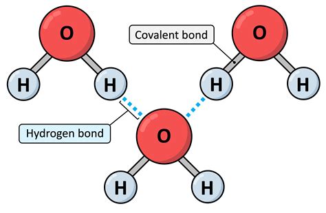 Hydrogen Bonding