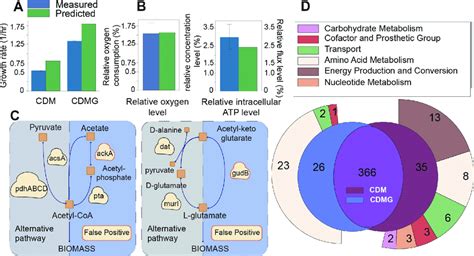 Gem Classification Warning 的图像结果