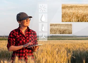 Smart Farming Solutions for Modern Agriculture | eCrop