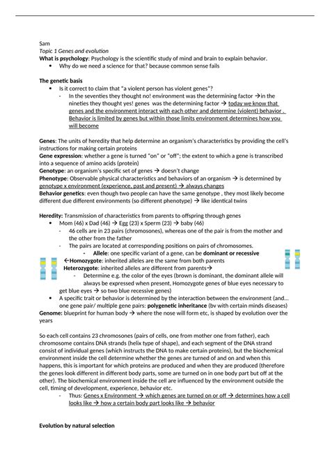 Period 1 Minor Psychology and the brain (ALL YOU NEED TO KNOW) - Stuvia US