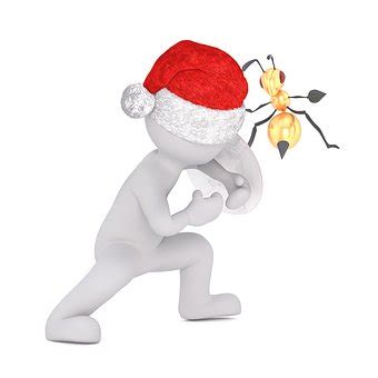 Image result for Types of Defects in Software Testing