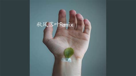 秋风落叶 (Remix) - YouTube