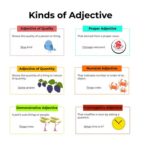 Premium Vector | Kinds of adjective