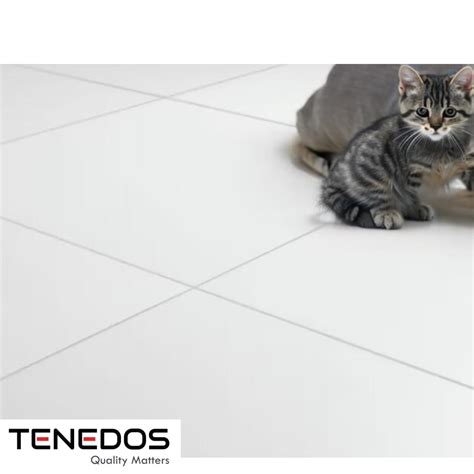 8x8 White Floor Tile Hydraulic Retro 8x8 Matte Tiles | Retro