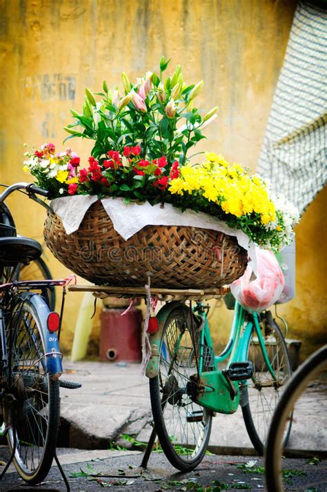 越南卖花人供营商在河内 库存照片. 图片 包括有 控制, 高地, 农夫, 管理, 巴厘岛, 绿色, 增长 - 65059542