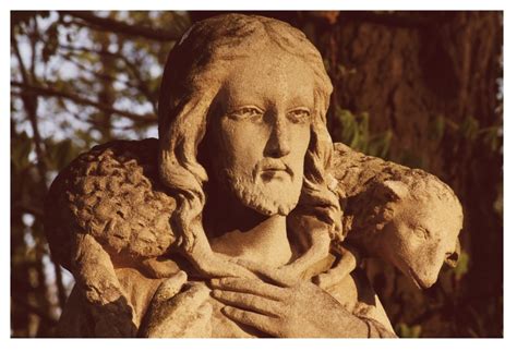 Daily Catholic Lectio. Sun, 11 May ’25. The Sheep and the Shepherd ...