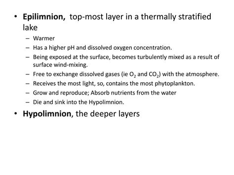 Basic Components of the Environment 的图像结果