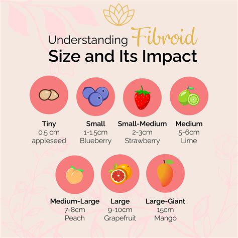 Understanding Fibroid Size and Its Impact - Fibroid Treatment Clinic
